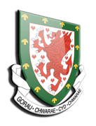 Đội bóng Xứ Wales