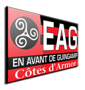 Đội bóng Guingamp