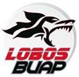 Lobos Buap