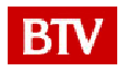 BTV Sport