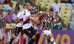 Fluminense (RJ) 2 - 3 Vitoria Salvador BA (Brazil 2013, vòng 31)