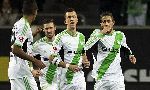 Wolfsburg 1 - 1 Hamburger (Đức 2013-2014, vòng 14)