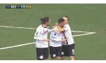 Cesena 3 - 1 Reggina (Hạng 2 Italia 2013-2014, vòng 19)